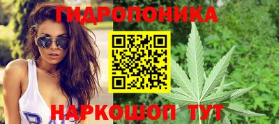 молекула духа Шебекино