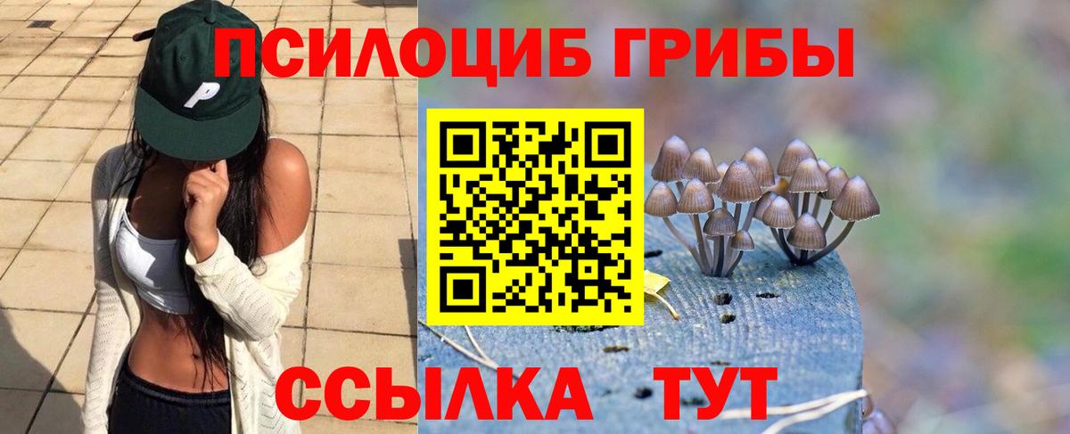 Галлюциногенные грибы GOLDEN TEACHER  Галлюциногенные грибы Cubensis  наркошоп  Вход с VPN  Урюпинск 