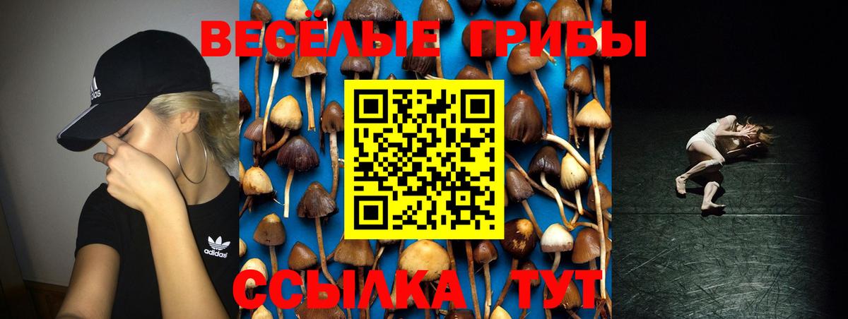 Псилоцибиновые грибы GOLDEN TEACHER Урюпинск